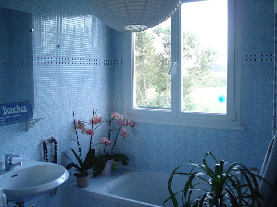 Logement Avec Jardin De Bord Mer Port Navalo アルゾン エクステリア 写真